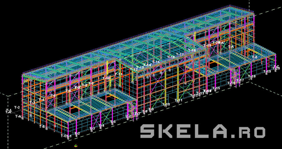 Proiecte hale industriale - Skela Industries